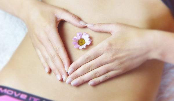 belly-3186730_1920